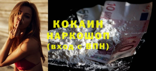 индика Алзамай