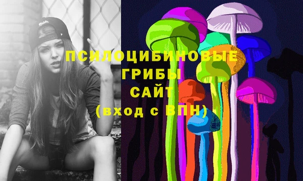 индика Алзамай