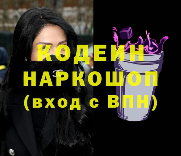 индика Алзамай